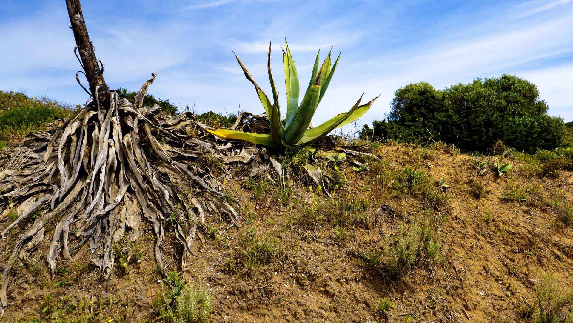 04 24 Carrapateira 35