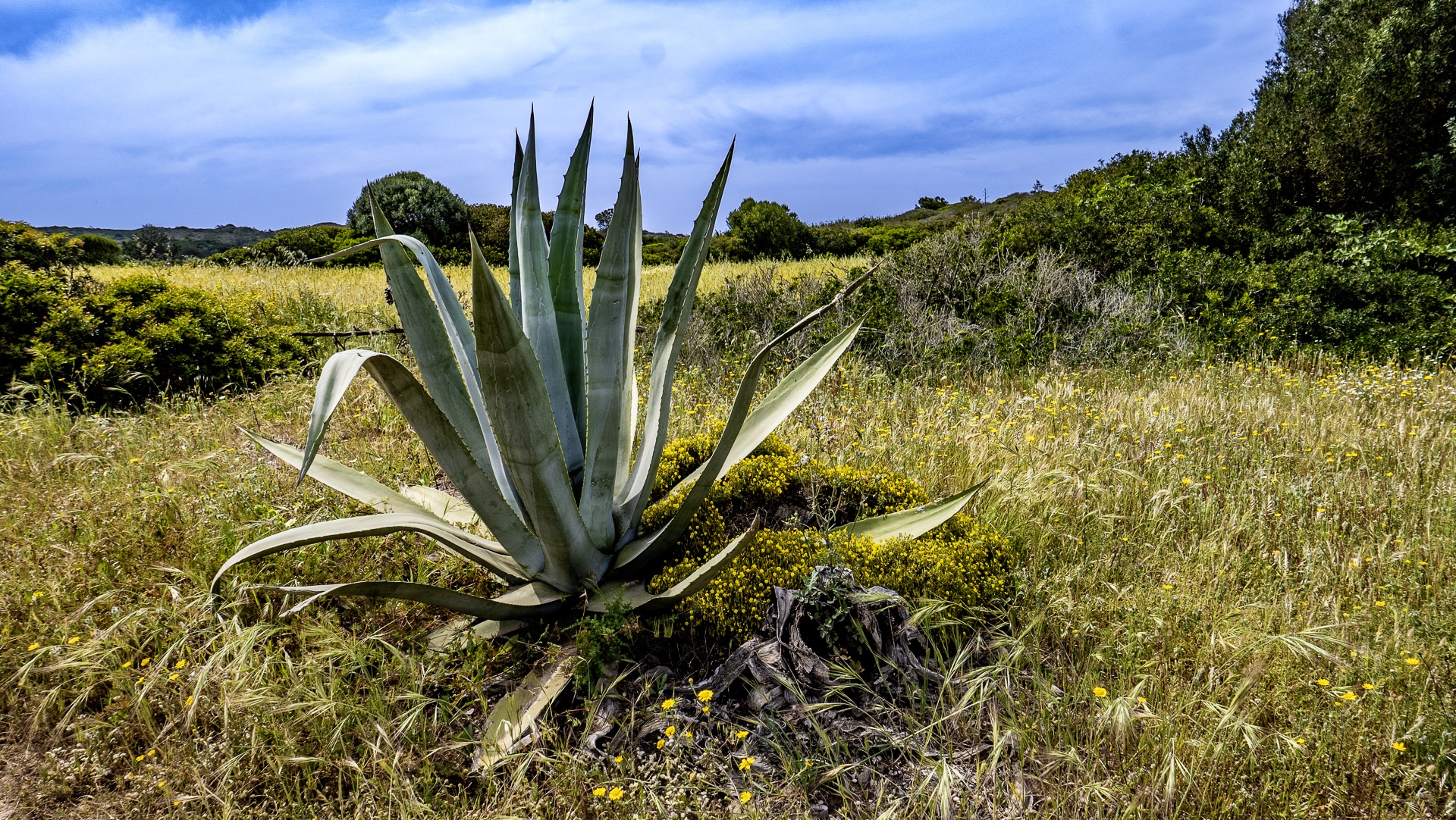 04 24 Carrapateira 36