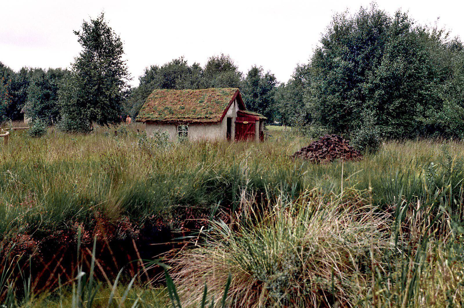 1994 uebergaenge 14