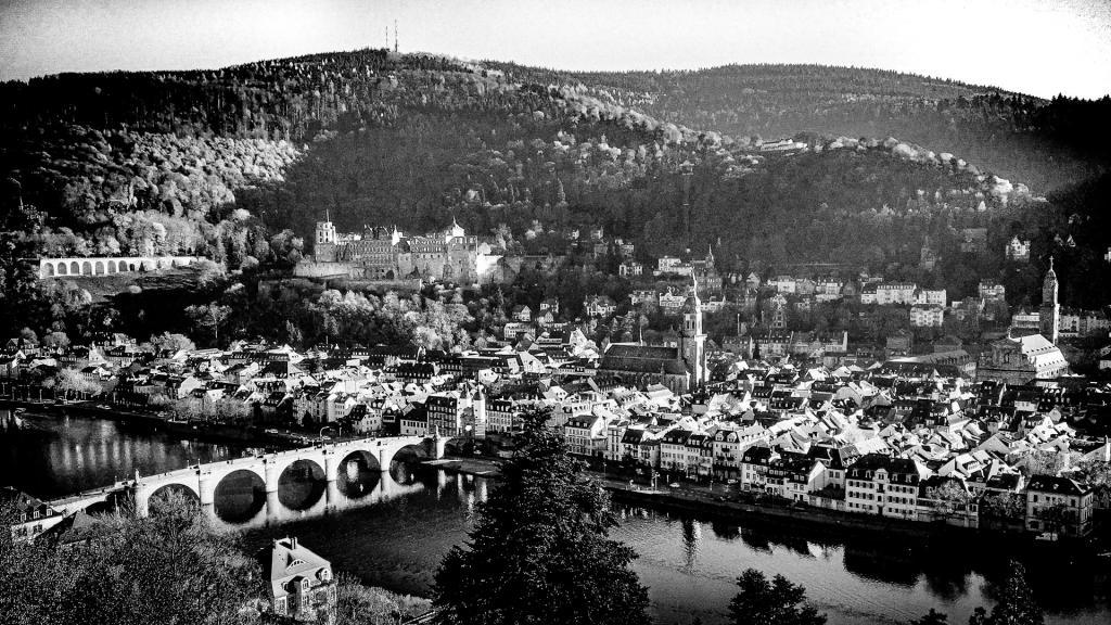 Heidelberg Neckar 20