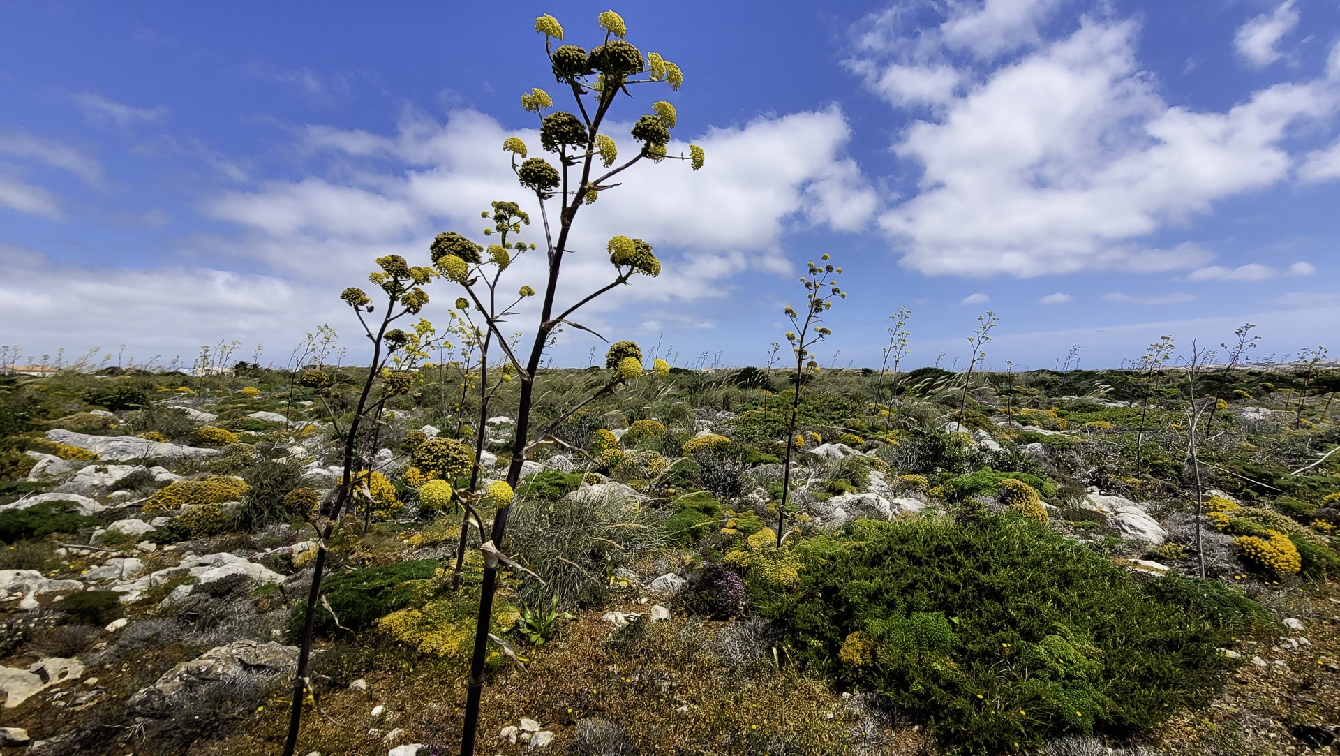 Cabo de Sao Vincente ⇢ Sagres 19