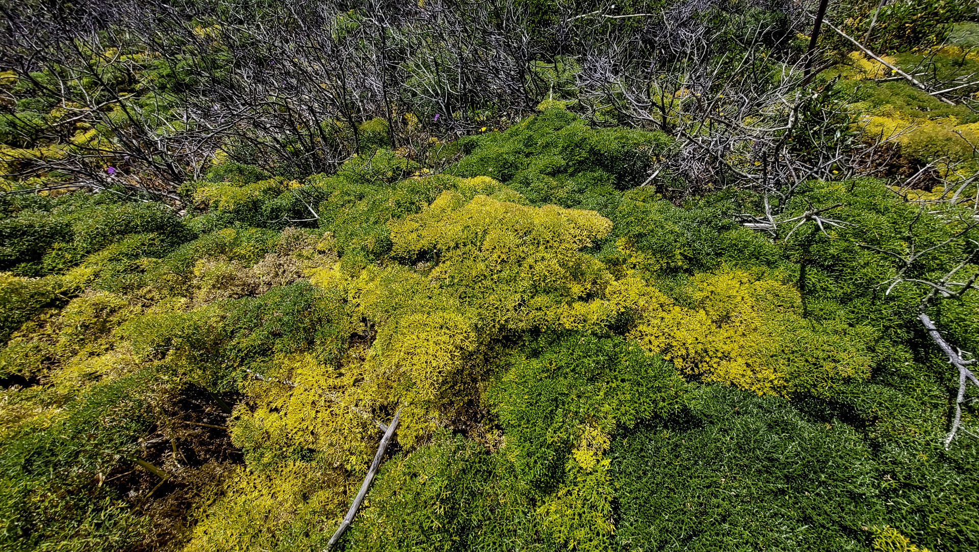 Cabo de Sao Vincente ⇢ Sagres 20