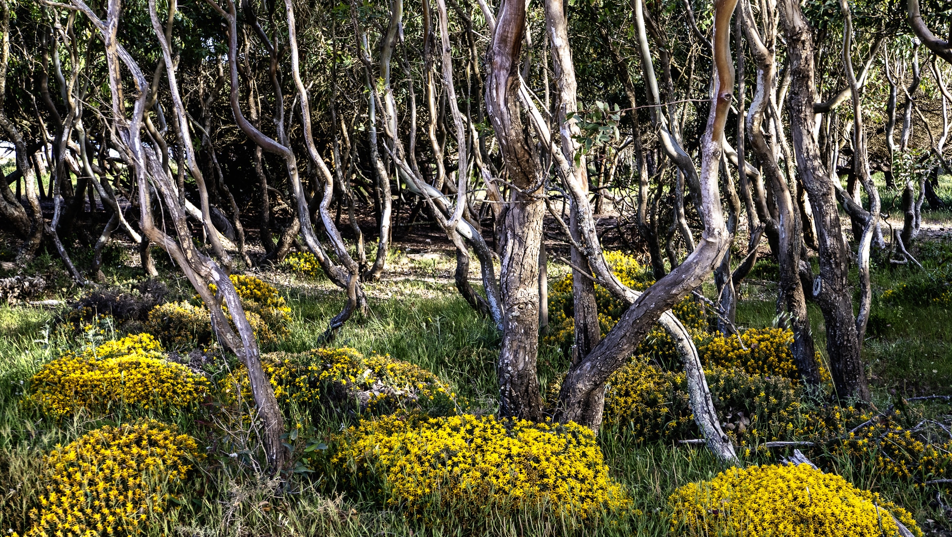 Vila do Bispo ⇢ Cabo de Sao Vicente 11