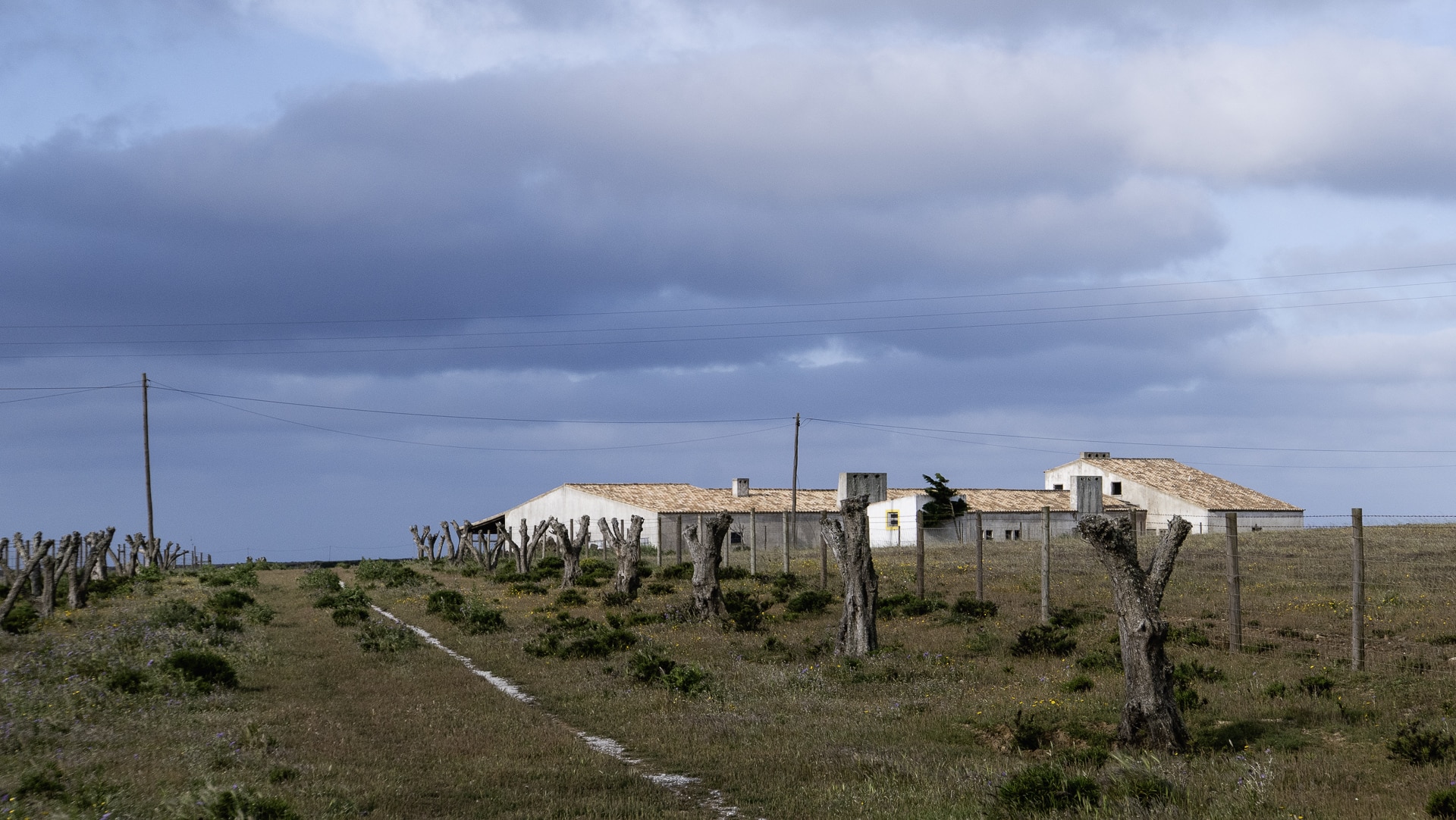 Vila do Bispo ⇢ Cabo de Sao Vicente 13