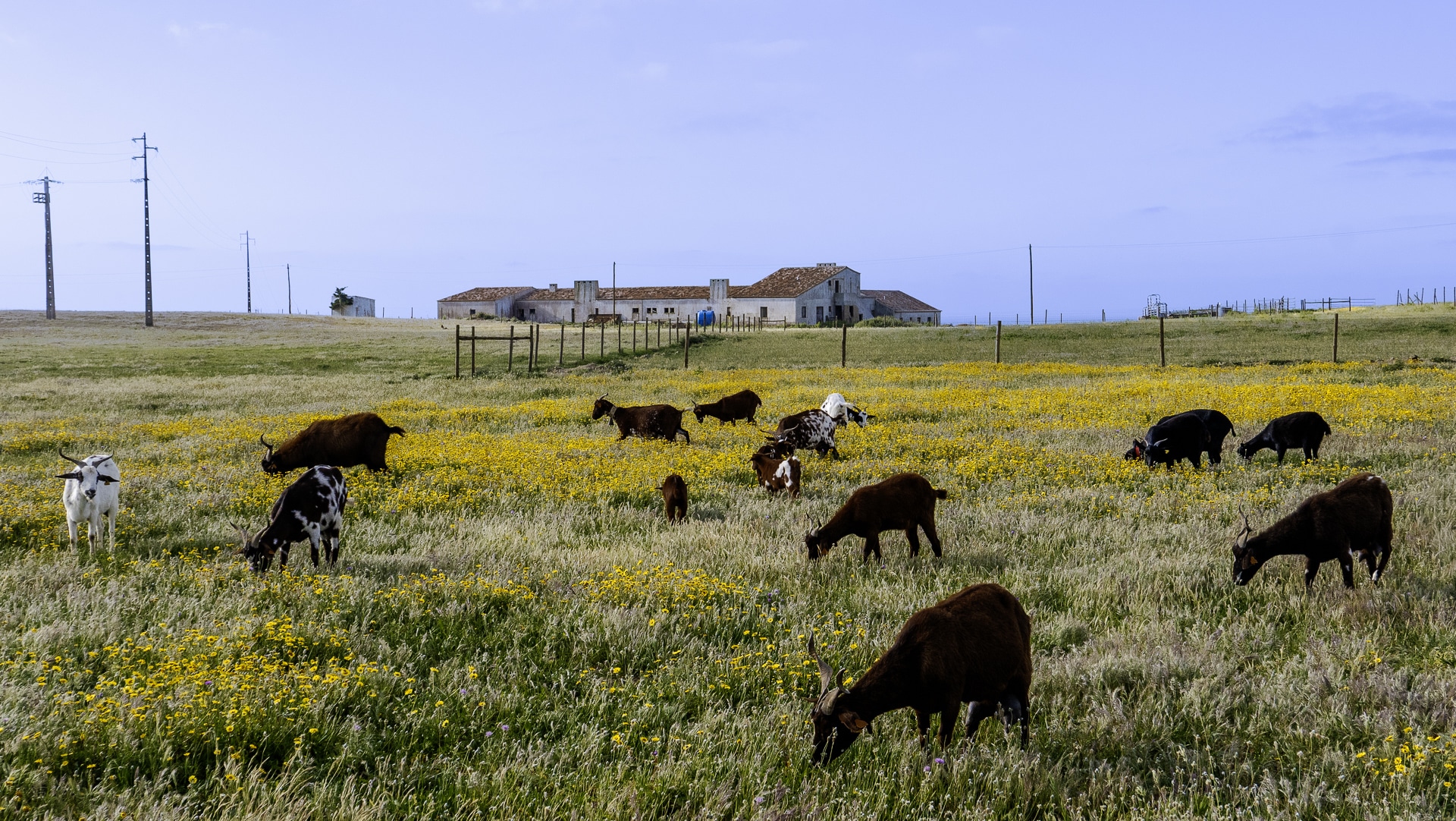 Vila do Bispo ⇢ Cabo de Sao Vicente 14