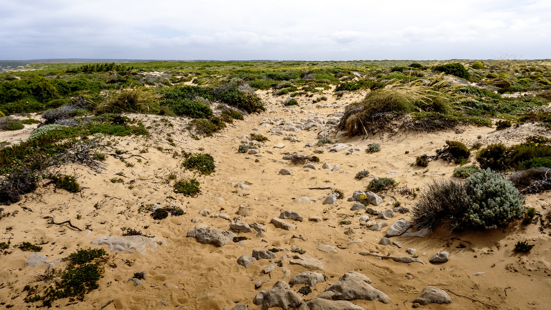 Vila do Bispo ⇢ Cabo de Sao Vicente 19