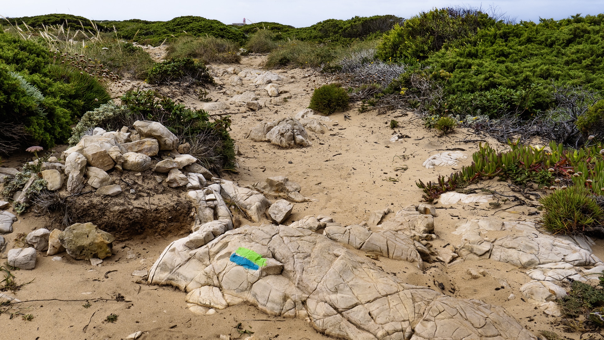 Vila do Bispo ⇢ Cabo de Sao Vicente 20