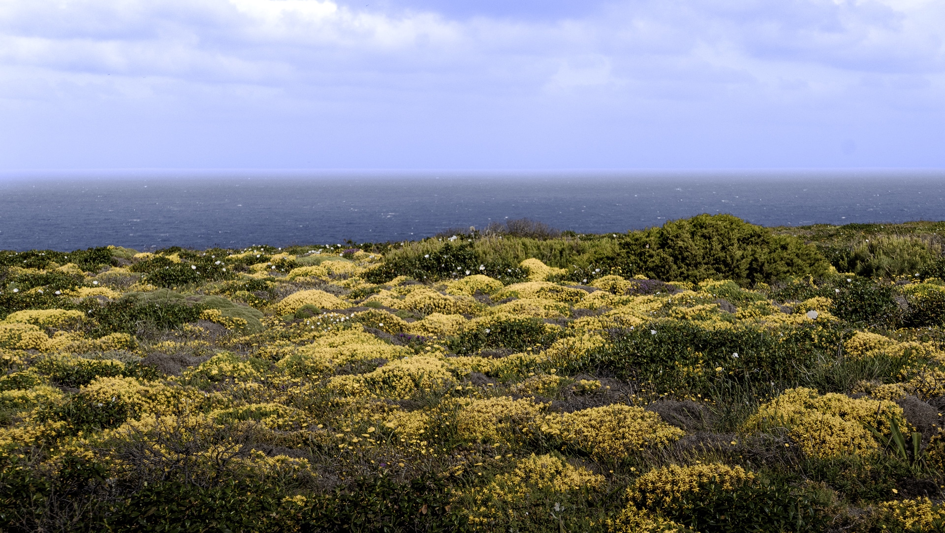 Vila do Bispo ⇢ Cabo de Sao Vicente 24